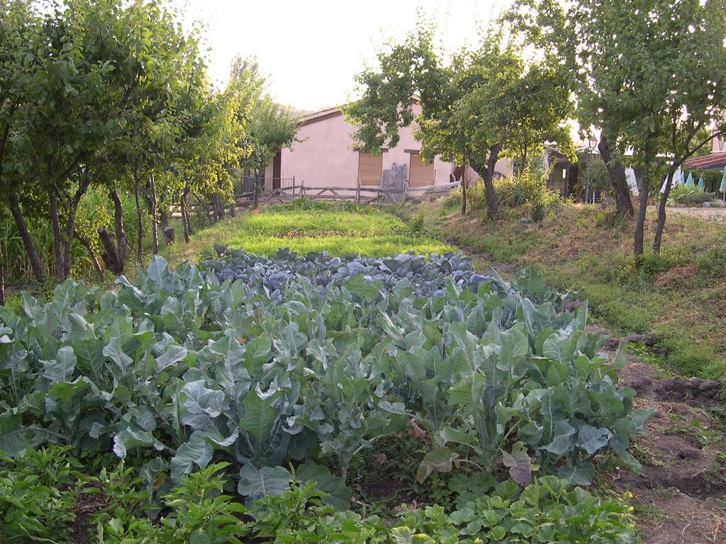 La Huerta De San Lorenzo Hotel Segovia Luaran gambar
